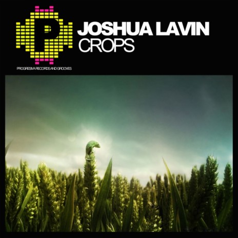 Crops (Original Mix) | Boomplay Music