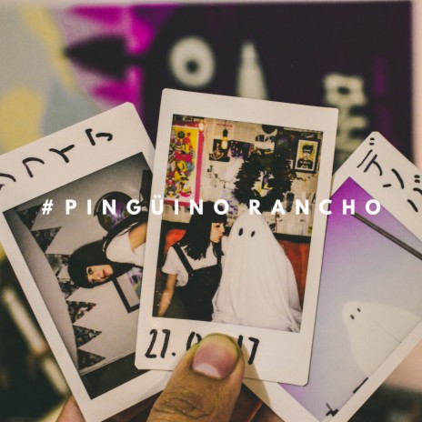 #Pingüino Rancho | Boomplay Music