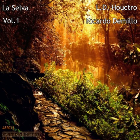 Danza de la Selva (Original Mix) | Boomplay Music