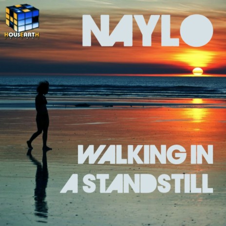 Walking In A Standstill (Original Mix)