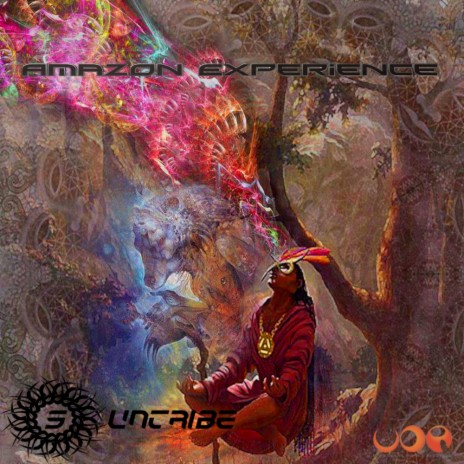 Ayahuasca Experience (Suntribe Remix)