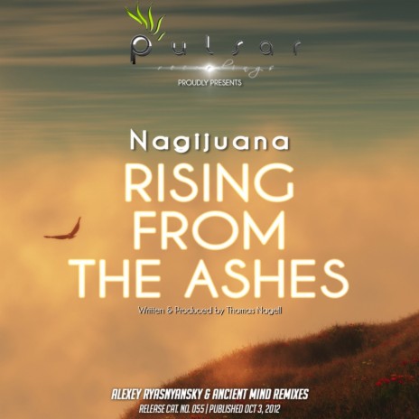 Rising From The Ashes (Original Mix) | Boomplay Music