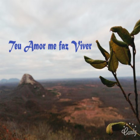 Teu Amor Me Faz Viver (Acústico) | Boomplay Music