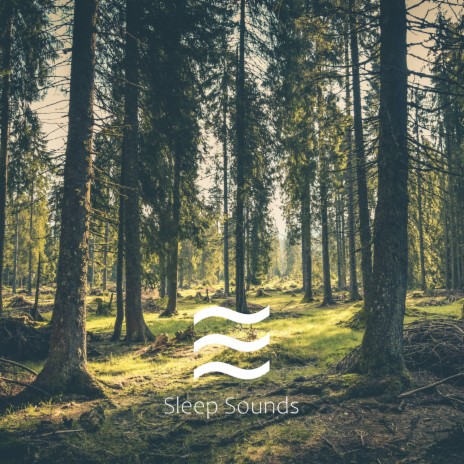 Deep Relax Still Forest Sounds | Boomplay Music