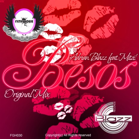 Besos (Radio Edit) ft. Mitzi! | Boomplay Music