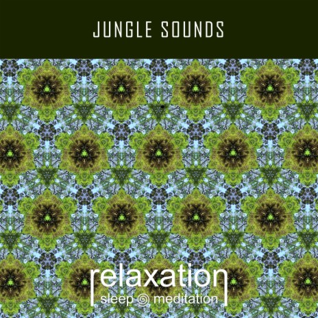 Jungle Sounds | Boomplay Music