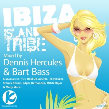 Ibiza Island Tribe (Continuous DJ Mix) ft. Bart Bass | Boomplay Music