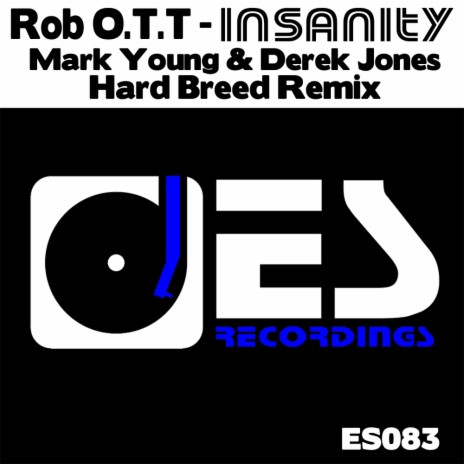 Insanity (Mark Young & Derek Jones Hard Breed Remix) | Boomplay Music