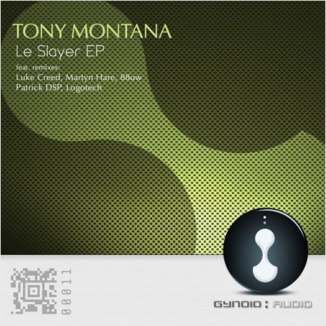 Le Slayer (Martyn Hare Remix) | Boomplay Music