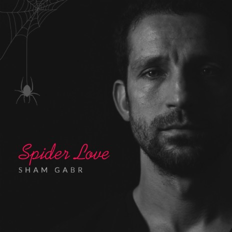 Spider Love | Boomplay Music