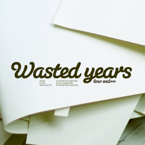 Wasted Years (Original Mix) | Boomplay Music