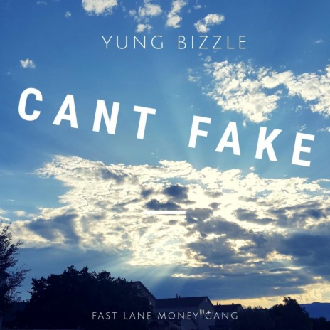 Can't Fake | Boomplay Music