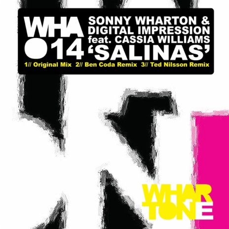 Salinas (Ted Nilsson Remix) ft. Digital Impression & Cassia Williams