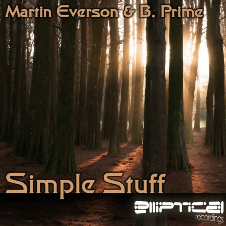 Simple Stuff (Mert Tolay Remix) ft. B. Prime