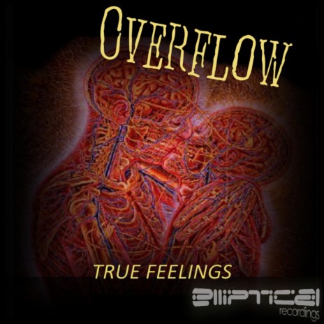 True Feelings (Original Mix) | Boomplay Music