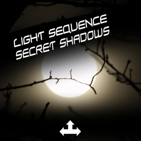 Secret Shadows (Arjona Remix) | Boomplay Music