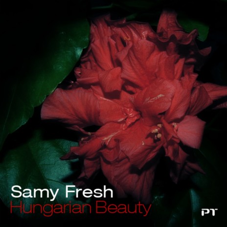 Hungarian Beauty (Original Mix)