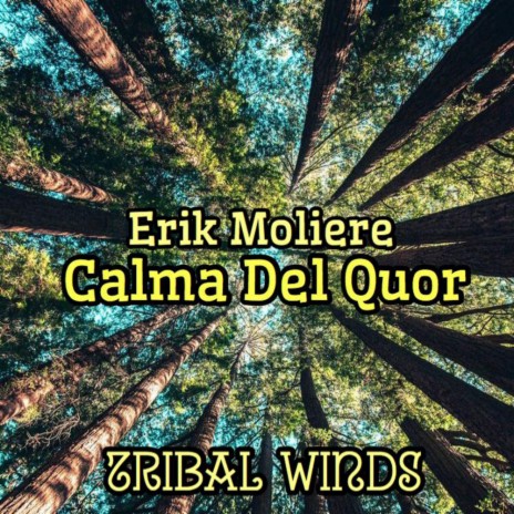 Calma Del Quor (Original Mix) | Boomplay Music