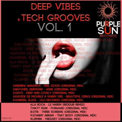 Deep Vibes & Tech Grooves Vol. 1 (Original Mix)