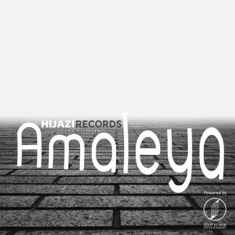 Amaleya (Remix) | Boomplay Music