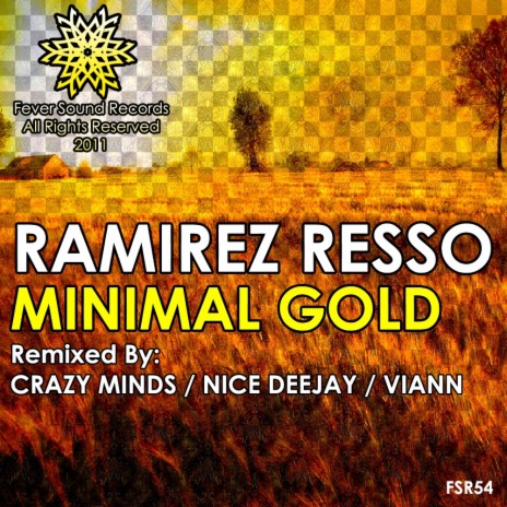 Minimal Gold (Amin Orf & Alpa De Vale Aka Crazy Minds Remix) | Boomplay Music