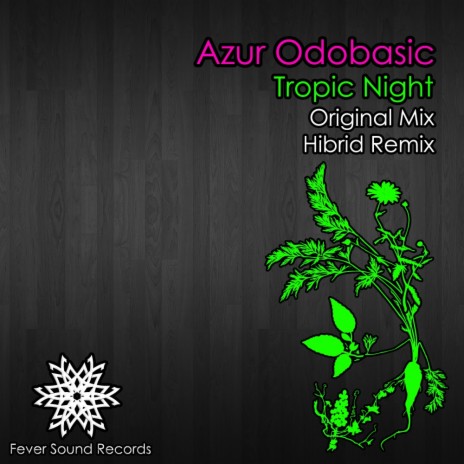 Tropic Night (Original Mix) | Boomplay Music