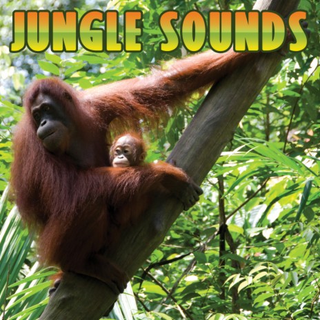 Sound Effects - Journey To Costa Rica MP3 Download & Lyrics | Boomplay