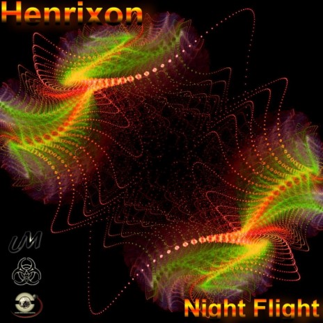 Night Flight (Damian Wasse Remix) | Boomplay Music