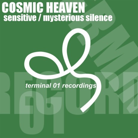 Mysterious Silence (Original Mix)