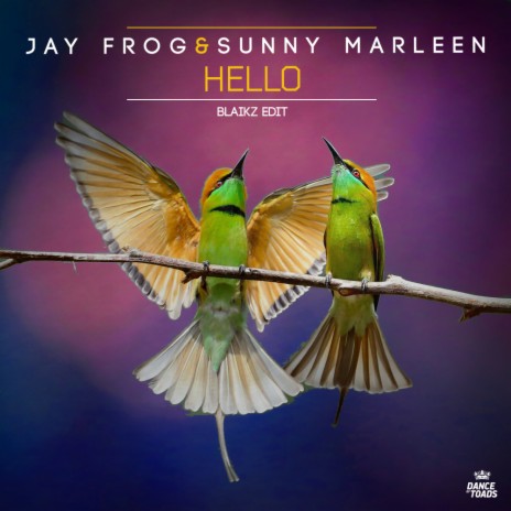 Hello (Extended Mix) ft. Sunny Marleen