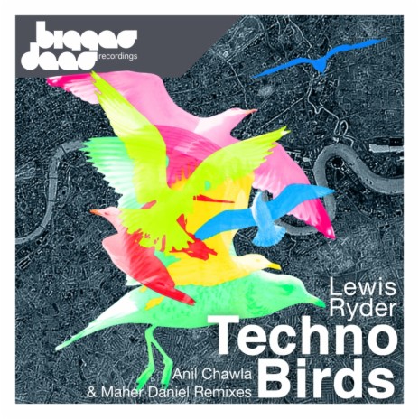 Techno Birds (Anil Chawla Remix)