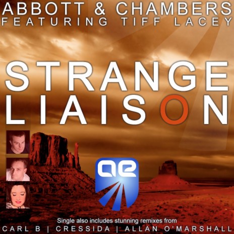 Strange Liaison (Allan O'Marshall Dub Mix) ft. Tiff Lacey