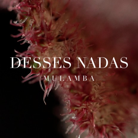 Desses Nadas | Boomplay Music