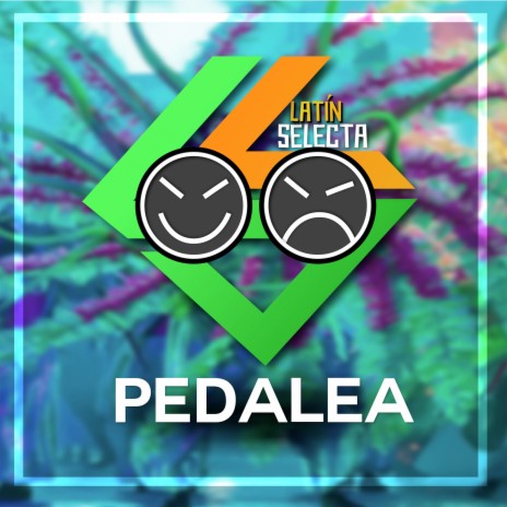 Pedalea