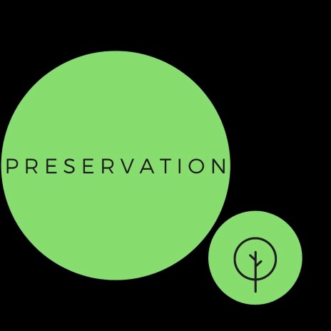 Preservation | Boomplay Music