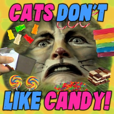 Cats Don't Like Candy ft. Kersplat! | Boomplay Music