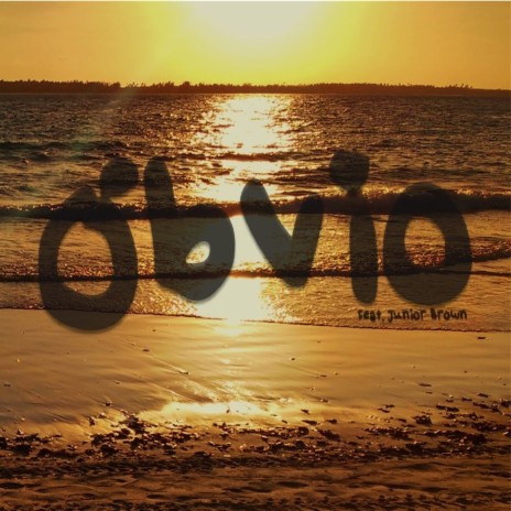 Óbvio ft. Junior Brown | Boomplay Music