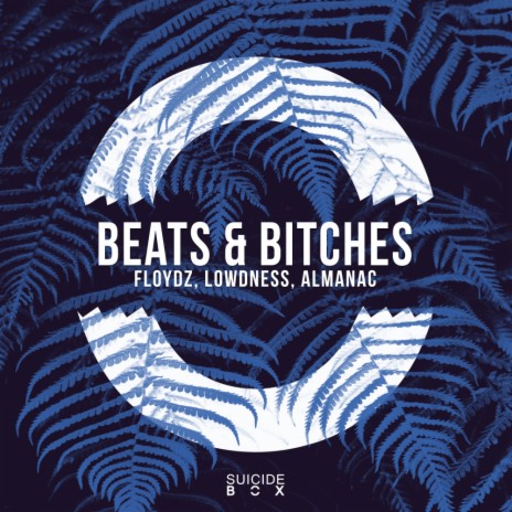 Beats & Bitches (Extended Mix) ft. Lowdness & Almanac | Boomplay Music