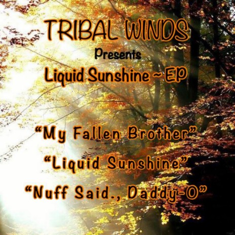 Liquid Sunshine (Original Mix)