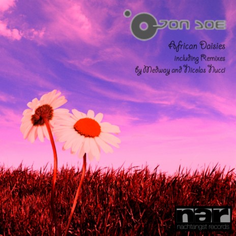 African Daisies (Nicolas Nucchi Météo Remix)