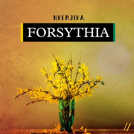 Forsythia | Boomplay Music