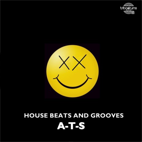 House Beats & Grooves (Original Mix)
