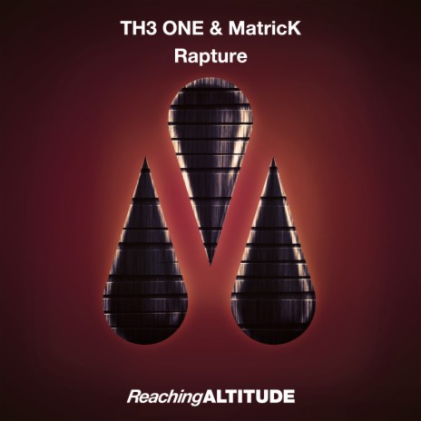Rapture (Radio Edit) ft. MatricK | Boomplay Music