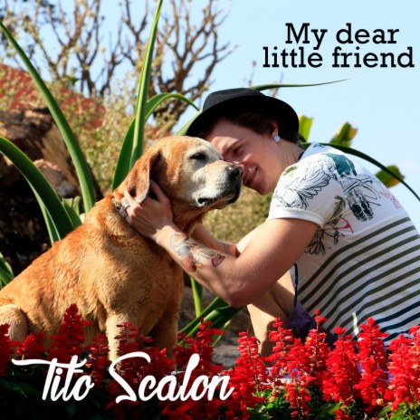 My Dear Little Friend | Boomplay Music