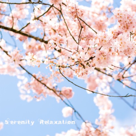 First Days of Spring ft. Serenity Spa Music Relaxation & Relaxing Music Therapy