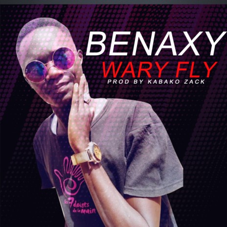 Wary fly