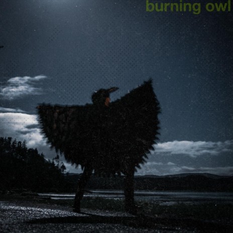 Burning Owl | Boomplay Music