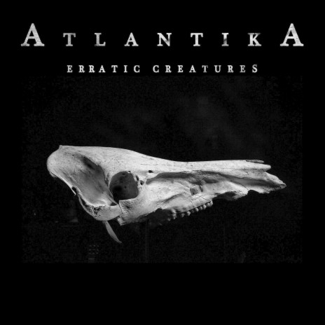 Erratic Creatures | Boomplay Music