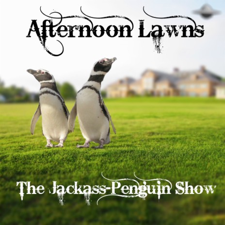 Afternoon Lawns | Boomplay Music