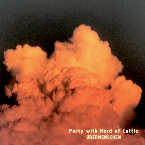 Party with Herd of Cattle | Boomplay Music